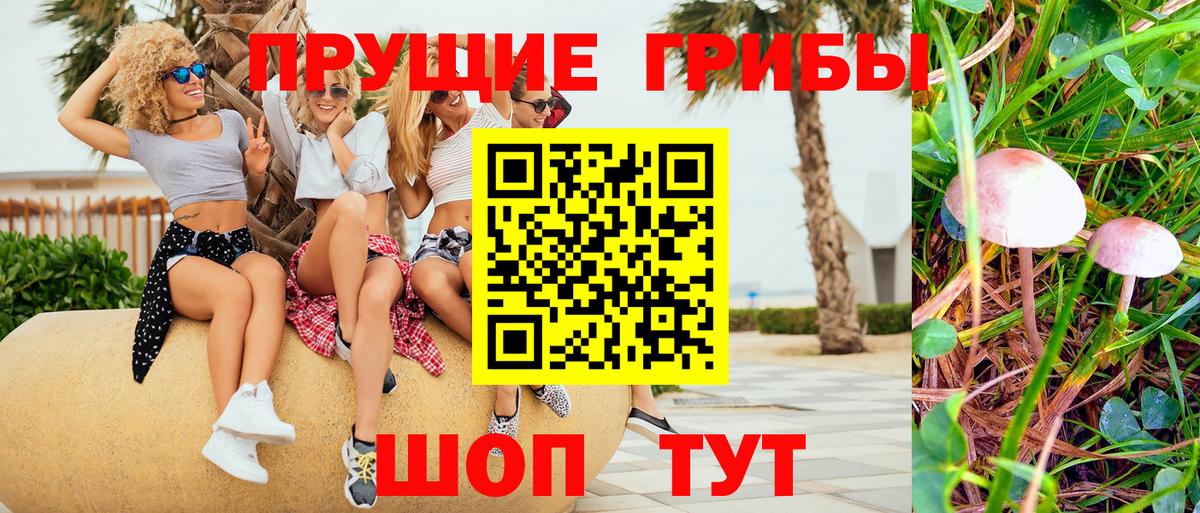 Псилоцибиновые грибы мицелий  Галлюциногенные грибы мухоморы  цены   Вход с VPN  Люберцы 